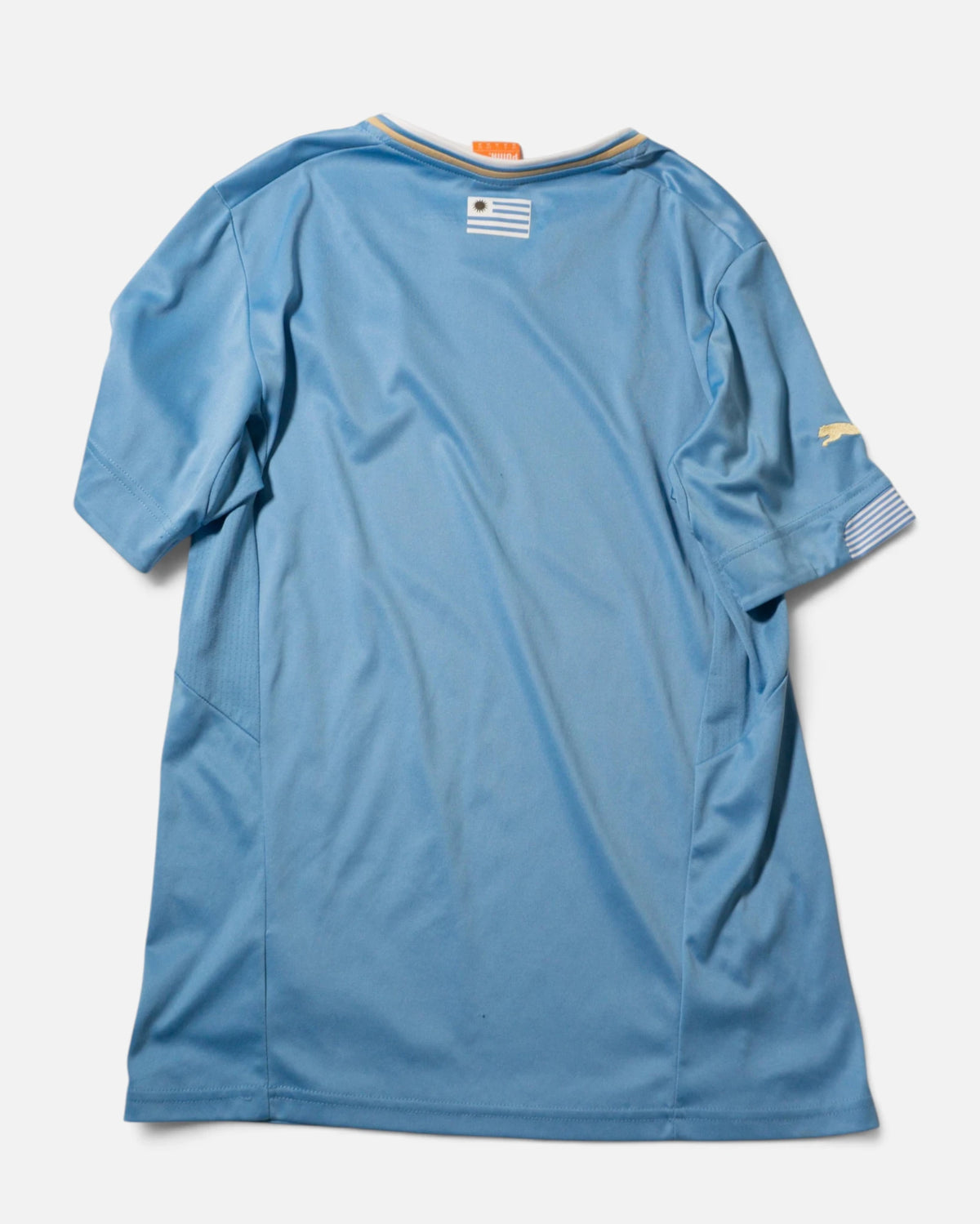 Camiseta Uruguay Puma Mundial Rusia 2018 — Talla M